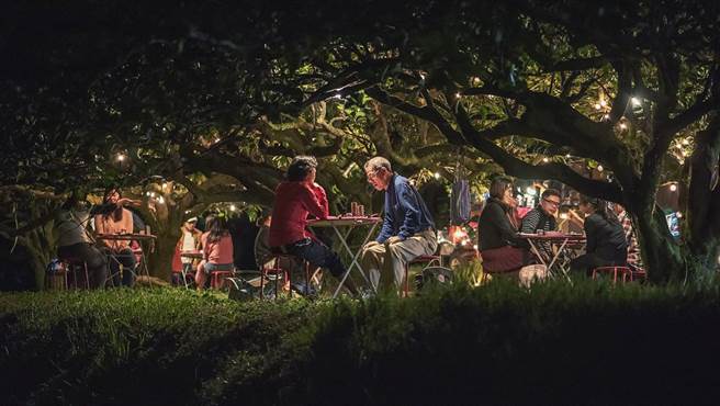 柚子林可以玩什么？来就知道了！(图／东丰休閒农业区提供)