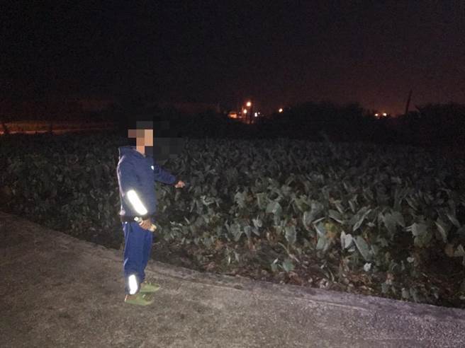 大甲地區頻傳零星芋頭遭竊，警方循線逮捕芋頭賊。（大甲警分局提供／陳淑娥台中傳真）