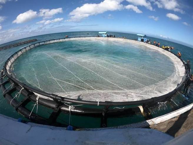 国立台湾海洋大学今举办举办智慧箱网养殖应用技术论坛，展示2年来农委会努力成果。（海洋大学提供）