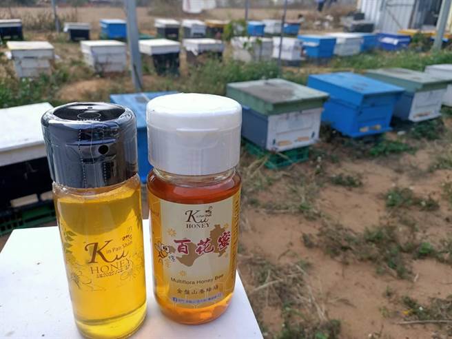 金门县政府与县农会明天在总兵署前广场举办「2021爱你~爱伊拢安心农民市集」，结合地区有机、安全蔬菜、百花蜜、有机菇类等农产品参与展售。（金门县府提供）