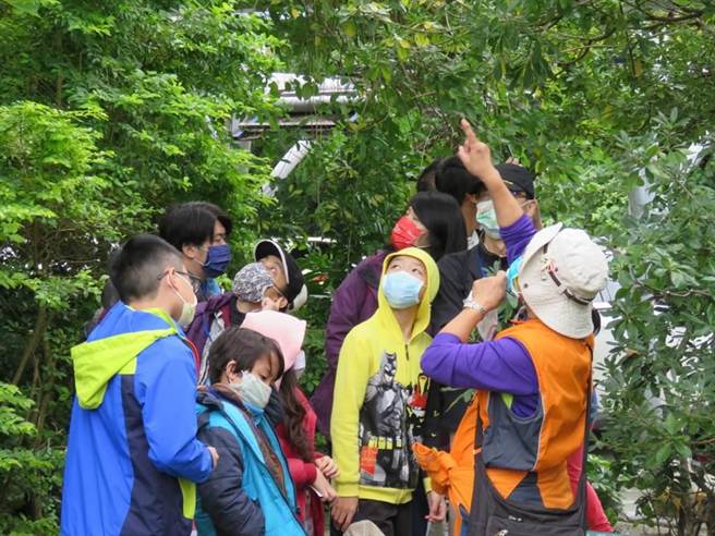 新北首座都会人工湿地大变身，漳和湿地20日试营运。（新北市环保局提供）