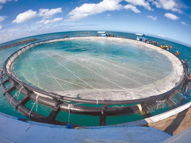 台灣海洋大學研發沉降式智慧箱網，未來颱風天漁獲收產就不怕受影響。（台灣海洋大學提供／陳彩玲基隆傳真）