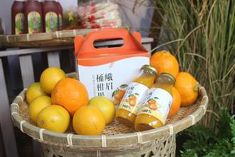 與新竹聯手行銷客家農特產 新北認購172萬斤柑橘