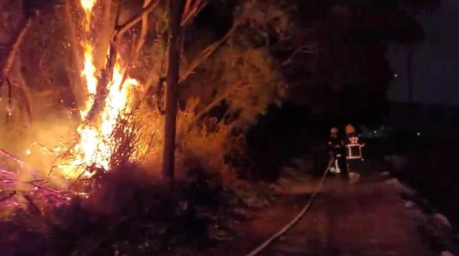 苗栗後龍南港山林大火，延燒6小時才被控制。（翻攝照片／李京昇苗栗傳真）