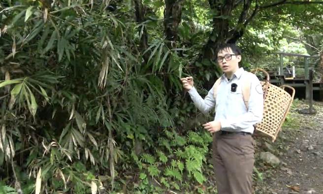 太鲁阁族人哈隆‧布亚，在取得硕士学位后选择留在家乡服务，担任国家公园解说员。（太管处提供／王志伟花莲传真）