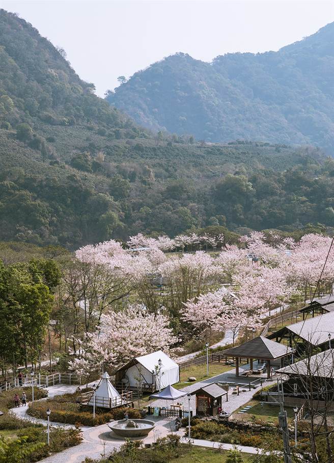 花开满谷绿意盎然的温泉乡。(图片提供/远山望月温泉营区)