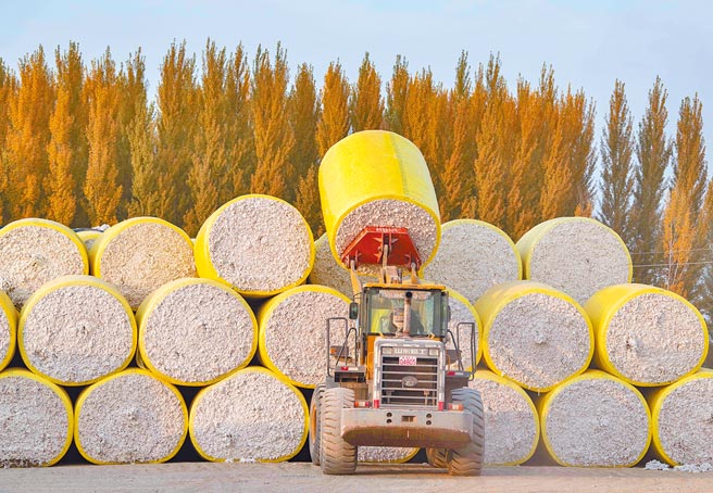 美国参议院16日一致通过「防止强迫维吾尔劳动法」，除了企业可证明产品在制造过程中没有牵涉强制劳动外，否则禁止从新疆进口产品。有关法案仍需经过总统拜登签署后才正式生效。图为新疆沙湾市的一家棉花收购厂。（新华社）