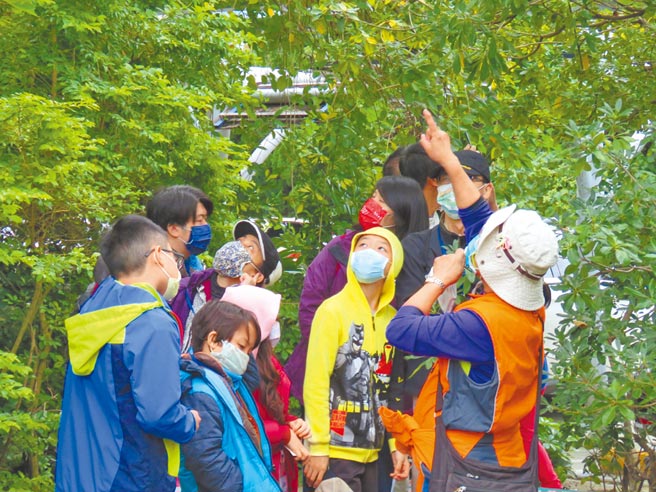 漳和溼地重新改造，增加栖地多样性与景观，并重新开放预约导览。（新北市环保局提供／叶德正新北传真）