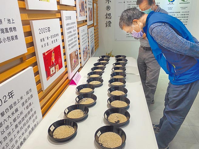 台东县池上乡举行第2期作稻米品质竞赛，评审仔细观察白米外观。（蔡旻妤摄）