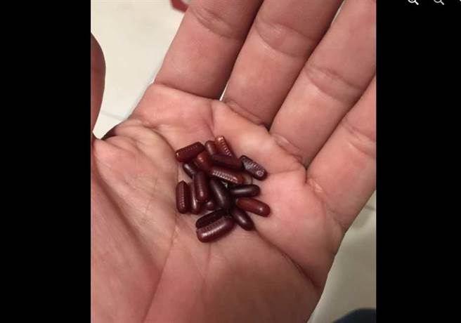 一名网友的女儿拿着一把蟑螂蛋，吵着要煮红豆汤喝。(翻摄自爆废公社)