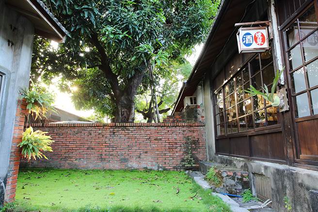 黄埔新村的文化、生活痕迹与空间记忆就藏在黑瓦红墙、老树院落之间。(摄影/Carter)