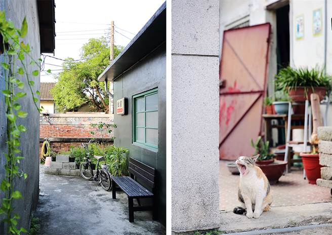 老屋的空间记忆与创作者、观眾的生命经验交互作用，开启老屋的另一种可能。(摄影/Carter)