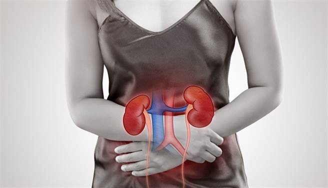 如家人有遗传性肾病，先确认自己是否也生病了。(示意图/Shutterstock)