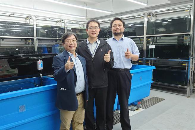 海大水產育種團隊（TABT）由黃章文、龔紘毅、徐德華教授領軍。（國立台灣海洋大學提供／陳彩玲基隆傳真）