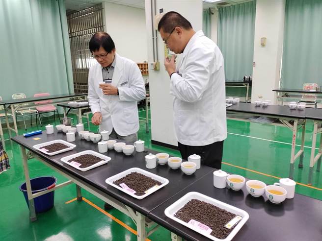 鹿谷乡农会冬茶比赛，经过严格评审。（民眾提供／廖志晃南投传真）