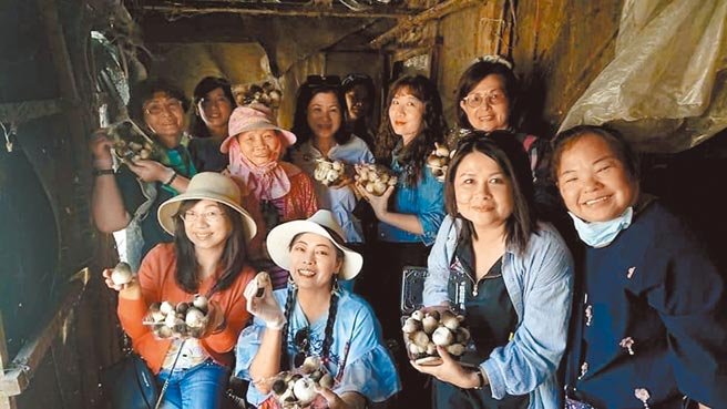 台南市柳营区果毅社区透过体验游程，让更多人了解当地特有的草菇产业。（谢翠玲提供／张毓翎台南传真）