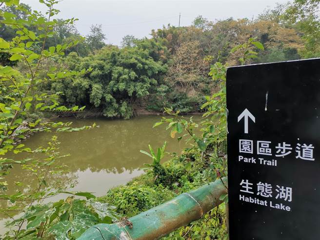 荒廢近10年南化生態園區明年底開放有望- 寶島- 中時