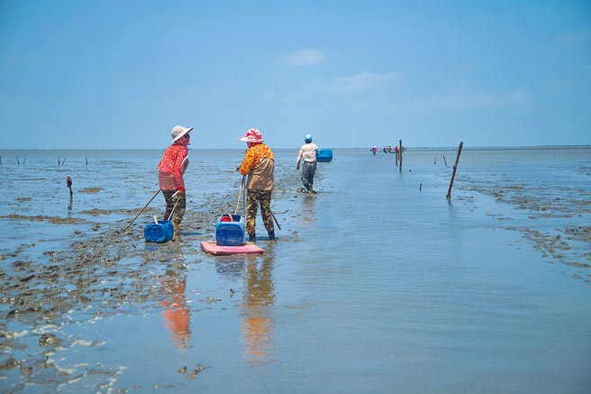 在海上耕地讨生活的人们。（张荟茗提供）