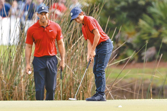 伍茲（左）專心看著兒子查理把球推進洞內。（美聯社）