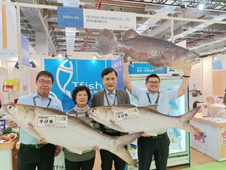 台北國際食品展  高雄海洋局為11家業者加油打氣