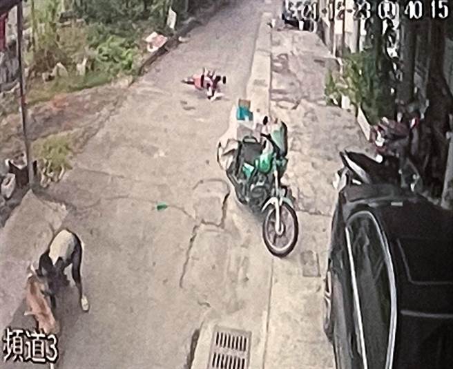 女饲主试图制止比特犬无效。（民眾提供）