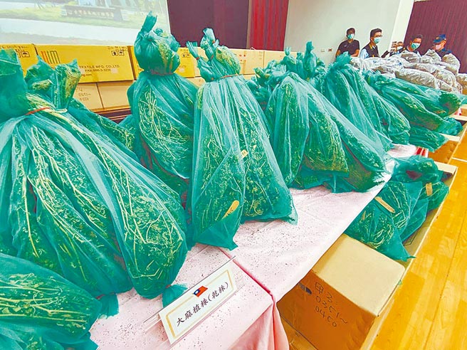 嘉义检警今年2月破获大麻集团案，扣押价值10亿元的大麻毒品，声请销毁获准。（本报资料照片）