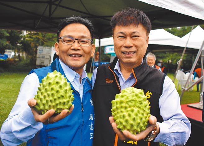 陈铭风（右）、周达三（左）投入国民党台东市长初选民调，两人不约而同帮农民卖释迦。（庄哲权摄）