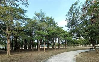 5公頃種近千棵樹淨化空氣 台南官田二鎮森林公園獲獎