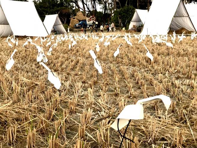 田尾鄉台一線中山路以東還有7、8個農村，鄉立幼兒園旁就有許多稻田，經過返鄉青年團隊的創意打造下，白鷺鷥田藝術裝置十分吸睛。（田尾鄉公所提供／謝瓊雲彰化傳真）