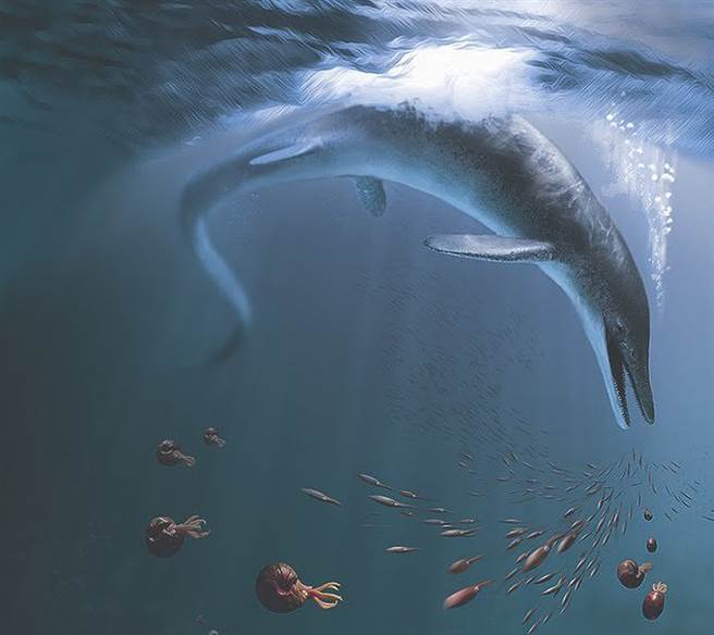 鱼龙最早出现于约2.4亿年前，比恐龙稍微早一点。（图／翻摄自洛杉矶自然歷史博物馆）