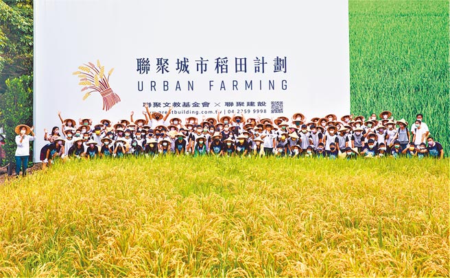 联聚在台中市7期新基地开发前，开辟城市稻田，学童参与插秧、收割，感恩土地庆丰收。（卢金足摄）
