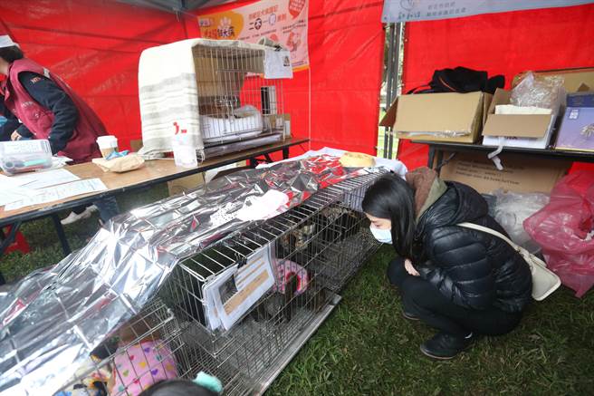 新北市动保处25日举办「2021毛宝贝幸福耶诞趴-宠物K歌音乐派对」，现场有犬猫认养、免费晶片施打、狂犬病疫苗注射等活动，许多饲主带着宠物前来放松游乐。（杜宜谙摄）