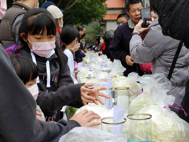 民眾开心制作信义特有的梅子泡菜，一起迎接梅花季的到来。(吴建辉摄)