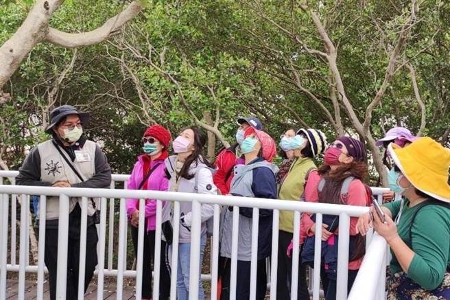 导览解说员引导民眾认识红树林生态。（茄萣舢筏协会提供／林瑞益高雄传真）