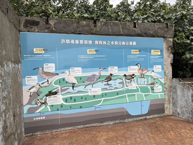 桃园市长郑文灿等人27日为许厝港湿地环教设施场所暨湿地保育工作站揭牌。（蔡依珍摄）