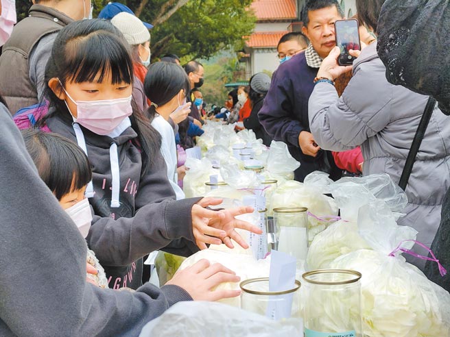 南投花卉嘉年华系列活动「踏雪寻梅」26日在信义乡梅子梦工厂展开，超过千人一起制作梅子泡菜，喜迎梅花季的到来。（吴建辉摄）