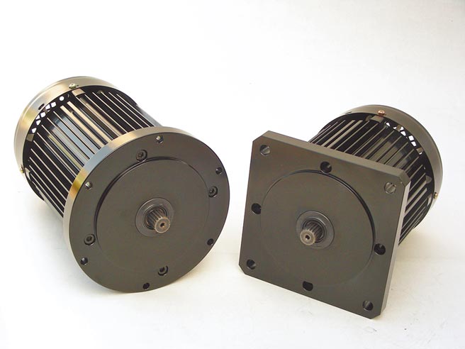 速克立直流無刷馬達。圖／業者提供