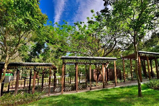 夫妻树广场旁廊道针对整体景观改造植栽绿美化。（台中市观旅局提供／王文吉台中传真）