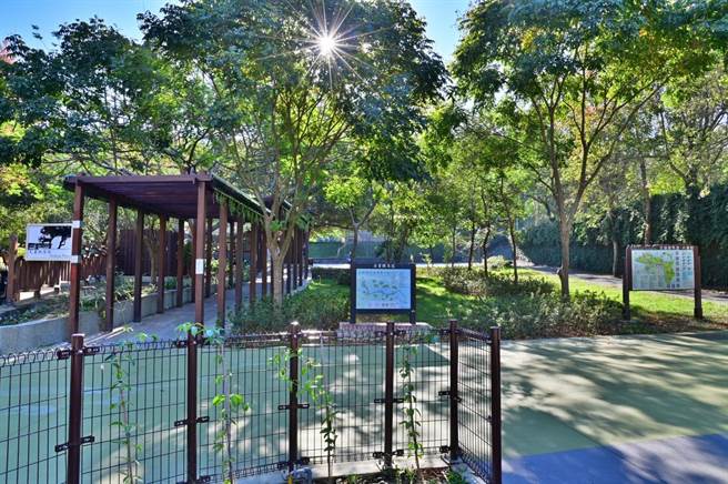 夫妻树广场完成驻车区改善。（台中市观旅局提供／王文吉台中传真）