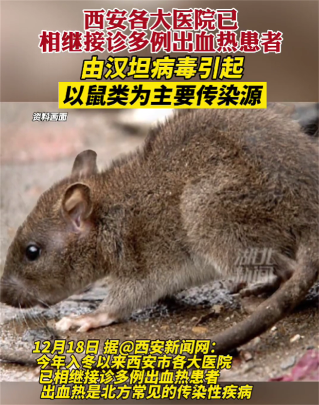 图／深圳特区报