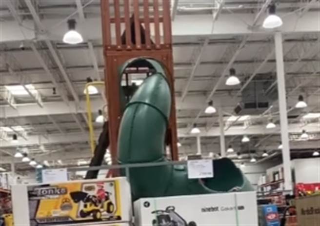 男子爬上展示用的溜滑梯，順著滑道滑下來，沒想到才滑到一半，滑道竟然在空中解體，男子整個人摔落地面。（圖／翻攝自爆廢公社）