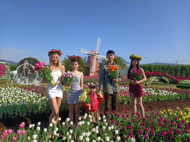 中社观光花市郁金香花季率全台之先登场，漂亮的模特儿与花争艳。（陈淑娥摄）
