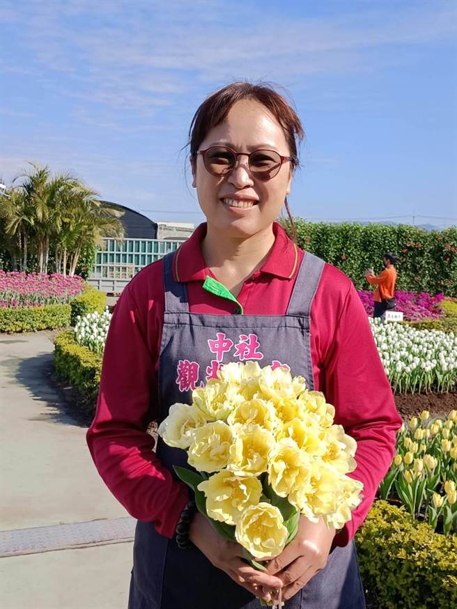 中社观光花市郁金香花季于29日登场，花市陈小姐手拿特殊品种维多纳。（陈淑娥摄）