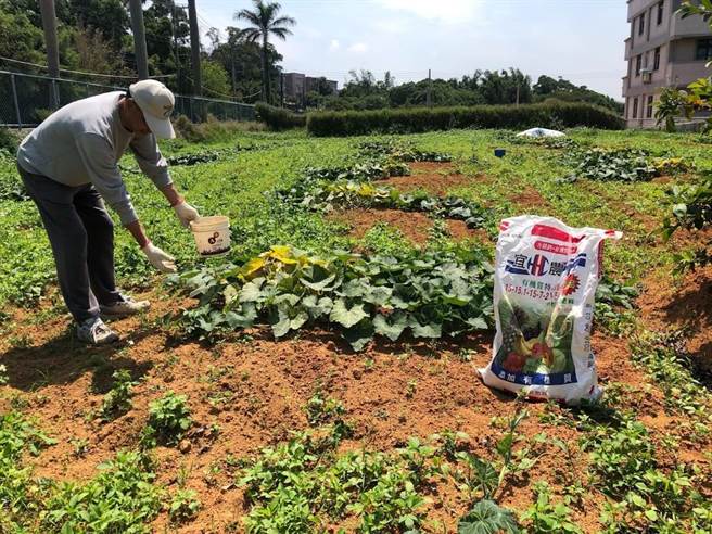 桃园市政府从2018年起推动农民职业灾害保险，补助农民一半保费，农民每年只要自付90元就能享有保障。（蔡依珍摄）