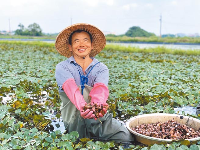 图／本报资料照片