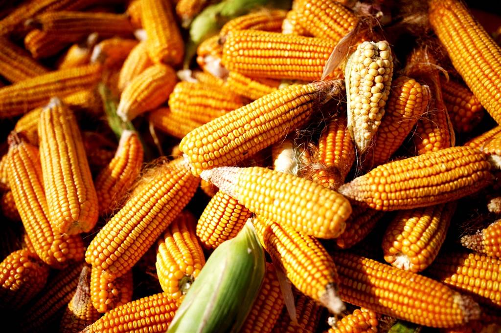 CNN指出，2022年物价仍将持续上扬，包括玉米、可可粉、糖等3大民生食品的价格仍将上涨。（资料照／路透社）(photo:ChinaTimes)