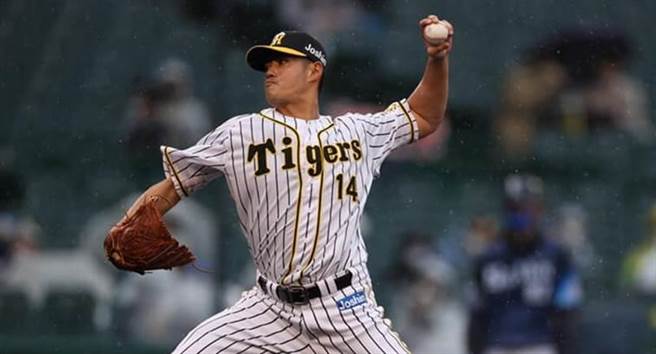 阪神虎队陈伟殷。（资料照，截自陈伟殷官方脸书粉专）