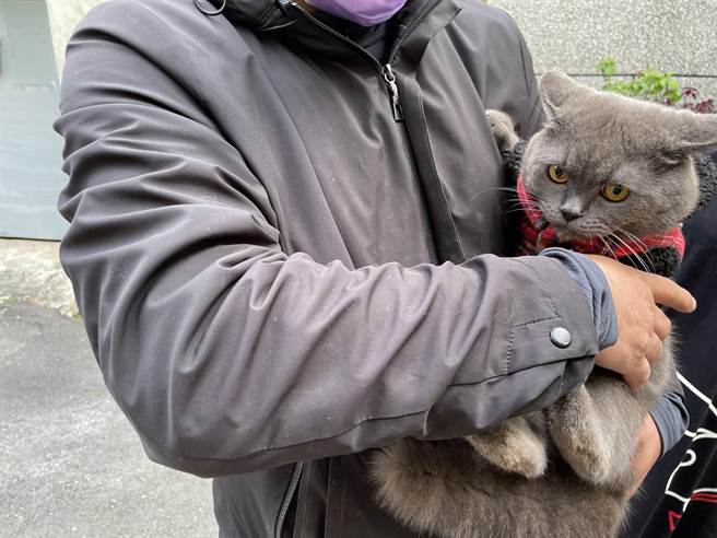 悬赏重金找猫的江先生，抱着回家的弟弟安抚牠。（民眾提供）