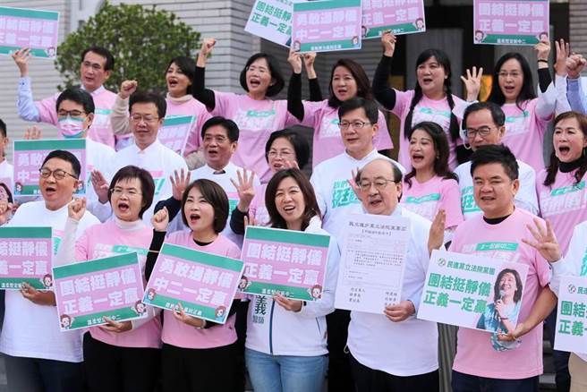 台中市第二選區立委補選將於1月9日投票，民進黨立法院黨團29日邀集立委齊聚一堂力挺立委候選人林靜儀（前排右三），黨團總召柯建銘（前排右二）更象徵性發布「甲級動員令」，要求立委們在投票前到中二選區衝刺選情，也意味對林發布「甲動」，要她當選後回到黨團繼續努力。（資料照／黃世麒攝）