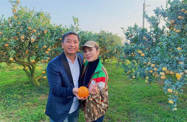 王中平邀陈美凤逛茂谷柑果园。（民视提供）